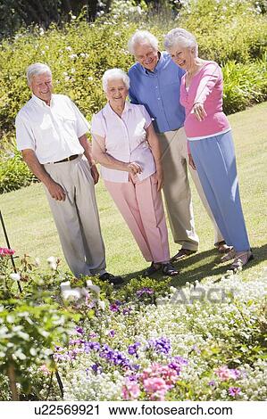 Two senior couples in a flower garden View Large Photo Image Stock Image - Two senior couples in a flower garden. Fotosearch