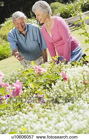 Senior couple in a flower garden View Large Photo Image Stock Photo - Senior couple in a flower garden. Fotosearch