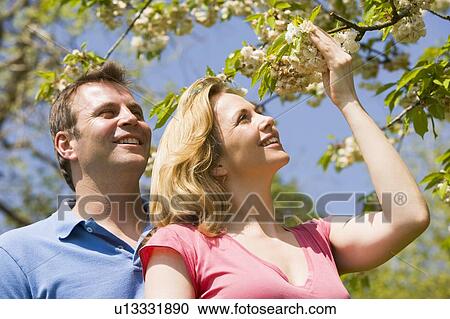 Couple standing outdoors holding blossom smiling View Large Photo Image Stock Image - Couple standing outdoors holding blossom smiling. Fotosearch