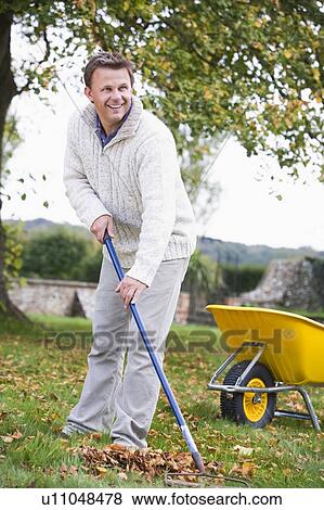 Stock Photo - Man outdoors raking leaves near wheelbarrow and smiling (selective focus). Fotosearch