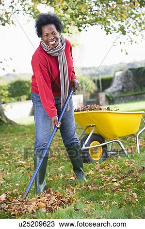 Woman outdoors raking leaves near wheelbarrow and smiling (selective focus) View Large Photo Image Stock Image - Woman outdoors raking leaves near wheelbarrow and smiling (selective focus). Fotosearch