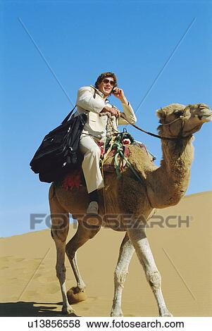 Man outdoors in the desert using a cellular phone on a camel View Large Photo Image Stock Photo - Man outdoors in the desert using a cellular phone on a camel. Fotosearch