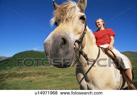 Woman outdoors riding horse and smiling (fisheye) View Large Photo Image Stock Photo - Woman outdoors riding horse and smiling (fisheye). Fotosearch