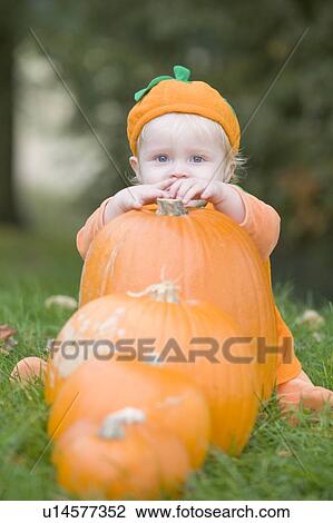 Baby boy outdoors in pumpkin costume with real pumpkins View Large Photo Image Stock Image - Baby boy outdoors in pumpkin costume with real pumpkins. Fotosearch