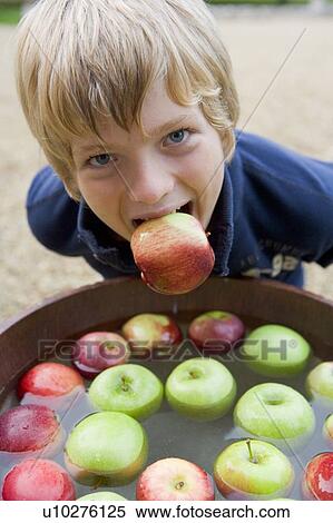 Young boy bobbing for apples View Large Photo Image Stock Photography - Young boy bobbing for apples. Fotosearch