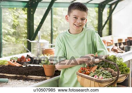 Stock Photography - Young boy in greenhouse holding basket of vegetables smiling. Fotosearch