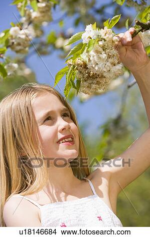 Picture - Young girl standing outdoors holding blossom smiling. Fotosearch