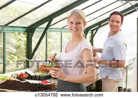 Stock Image - Couple in greenhouse raking soil in pots smiling. Fotosearch