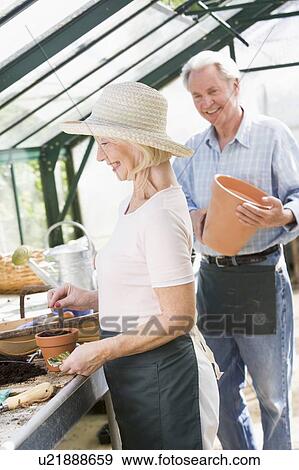Stock Photo - Woman in greenhouse planting seeds and man holding pot smiling. Fotosearch