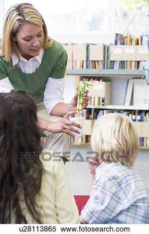 Stock Photography - Teacher in class showing students bamboo plant (selective focus). Fotosearch