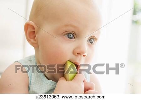 Baby eating apple indoors View Large Photo Image Stock Image - Baby eating apple indoors. Fotosearch