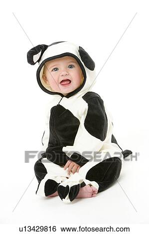 Baby in cow costume View Large Photo Image Stock Photograph - Baby in cow costume. Fotosearch
