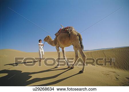 Woman outdoors in the desert with a camel View Large Photo Image Picture - Woman outdoors in the desert with a camel. Fotosearch