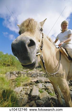Stock Photograph - Woman outdoors riding horse in scenic location (fisheye). Fotosearch
