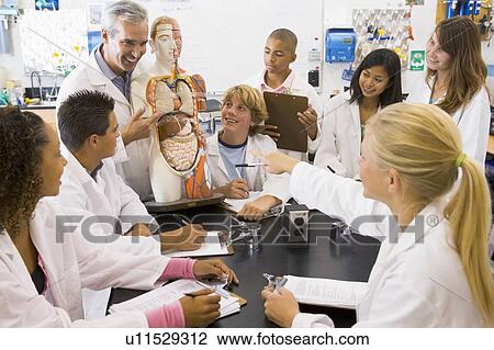 Students in biology class with teacher View Large Photo Image Stock Image - Students in biology class with teacher. Fotosearch