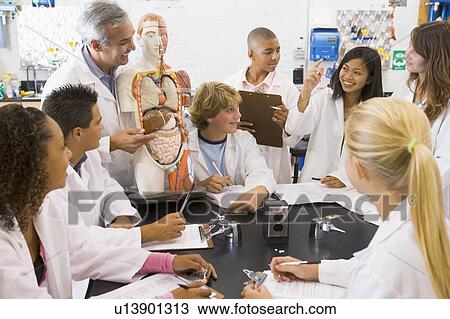 Students in biology class with teacher View Large Photo Image Stock Image - Students in biology class with teacher. Fotosearch