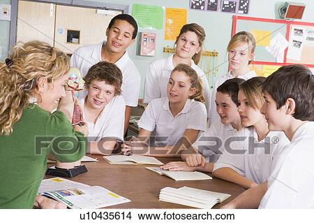 Students receiving a biology lesson in classroom View Large Photo Image Picture - Students receiving a biology lesson in classroom. Fotosearch
