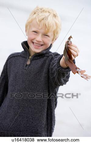 Stock Photo - Young boy standing on beach holding leaves smiling. Fotosearch