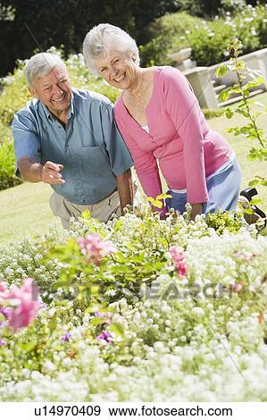 Senior couple in a flower garden View Large Photo Image Stock Photo - Senior couple in a flower garden. Fotosearch