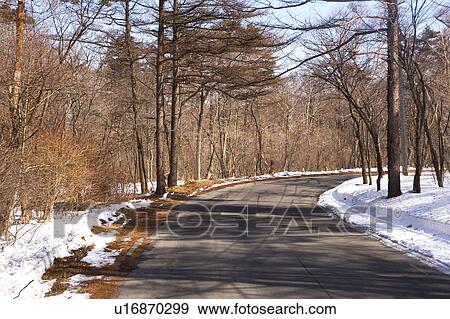 Stock Photo - Beautiful scenery in Tokyo, Japan. Fotosearch