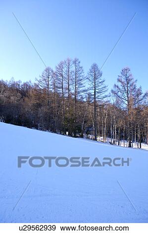 Stock Photo - Beautiful scenery in Tokyo, Japan. Fotosearch