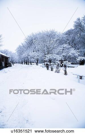 Beautiful scenery in winter, Japan View Large Photo Image Stock Image - Beautiful scenery in winter, Japan. Fotosearch