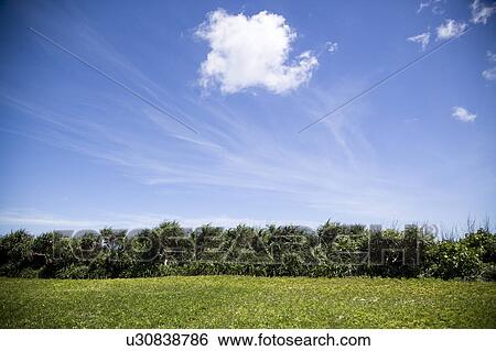 Stock Photograph - Natural scenery - green lawn against clear sky. Fotosearch