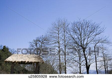 Natural scenery in winter View Large Photo Image Stock Photo - Natural scenery in winter. Fotosearch