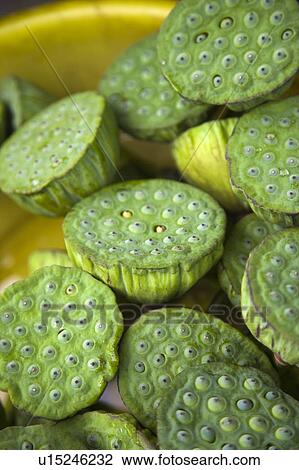 Stock Image - Close-up of raw lotus pods. Fotosearch