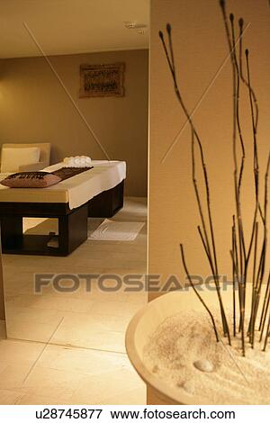 Stock Photo - Potted plant for home decorating. Fotosearch