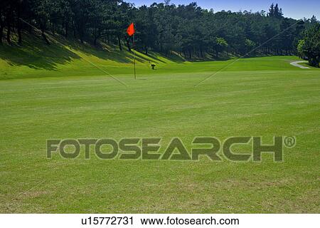 Flag in golf course View Large Photo Image Stock Image - Flag in golf course. Fotosearch