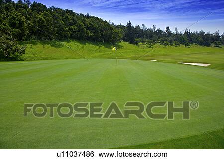 Flag in putting green View Large Photo Image Stock Photograph - Flag in putting green. Fotosearch