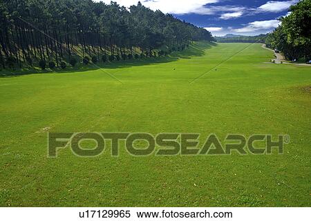Stock Photography - Golf course landscape. Fotosearch