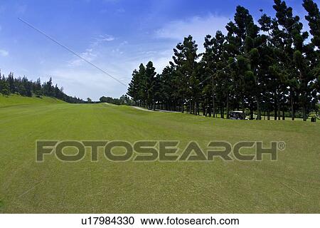 Golf course with green View Large Photo Image Stock Image - Golf course with green. Fotosearch