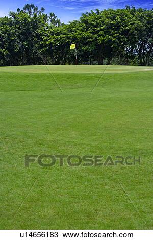Putting green View Large Photo Image Stock Image - Putting green. Fotosearch