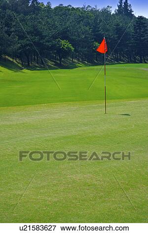 Red flag in putting green View Large Photo Image Stock Photo - Red flag in putting green. Fotosearch