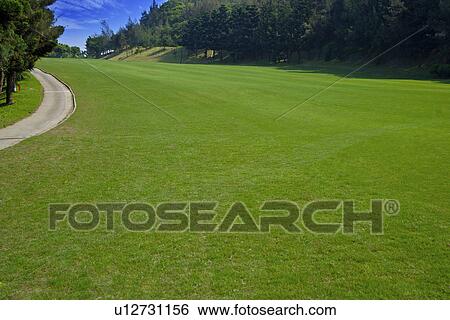 Stock Photograph - Road in golf course. Fotosearch