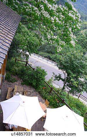 Overhead view of a garden with sun umbrella and house View Large Photo Image Stock Image - Overhead view of a garden with sun umbrella and house. Fotosearch