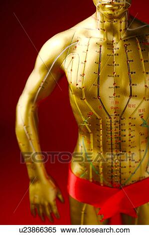 Stock Photography - Acupuncture meridians on model man. Fotosearch