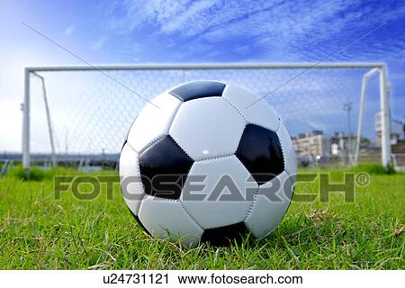 Ball on soccer field View Large Photo Image Stock Image - Ball on soccer field. Fotosearch
