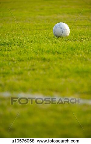Ball on soccer field View Large Photo Image Stock Photo - Ball on soccer field. Fotosearch