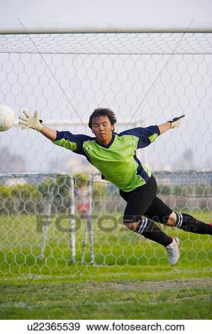 Football goalie diving for ball View Large Photo Image Stock Photo - Football goalie diving for ball. Fotosearch