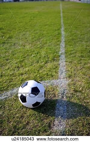 Soccer ball near white line View Large Photo Image Stock Image - Soccer ball near white line. Fotosearch
