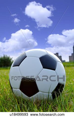 Stock Image - Soccer ball on lawn. Fotosearch