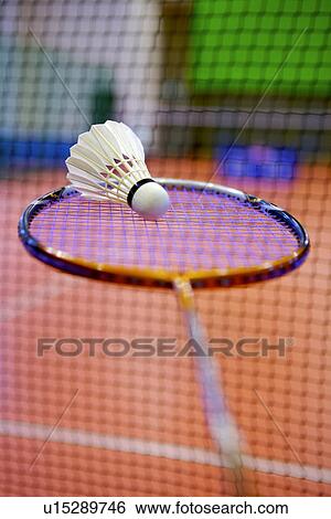 Close-up of a shuttlecock on a badminton racket View Large Photo Image Stock Photograph - Close-up of a shuttlecock on a badminton racket. Fotosearch