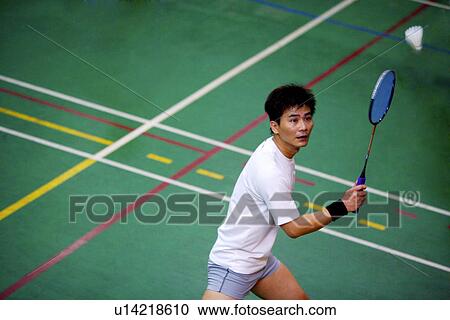 Man poised to hit shuttlecock with badminton racket, View Large Photo Image Stock Image - Man poised to hit shuttlecock with badminton racket,. Fotosearch