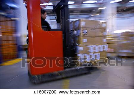 Man driving forklift in warehouse View Large Photo Image Stock Image - Man driving forklift in warehouse. Fotosearch