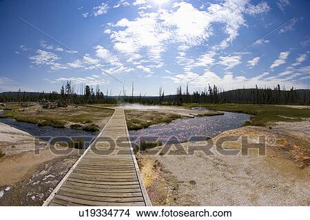 Picture - Boardwalk over hot springs of Black Sand Basin, Yellowstone National Park, Wyoming, USA. Fotosearch