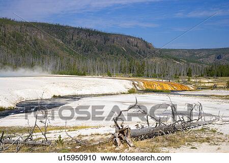 Stock Image - Cliff Geyser, Black Sand Basin, Yellowstone National Park, Wyoming, USA. Fotosearch