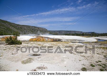 Stock Image - Cliff Geyser, Black Sand Basin, Yellowstone National Park, Wyoming, USA. Fotosearch